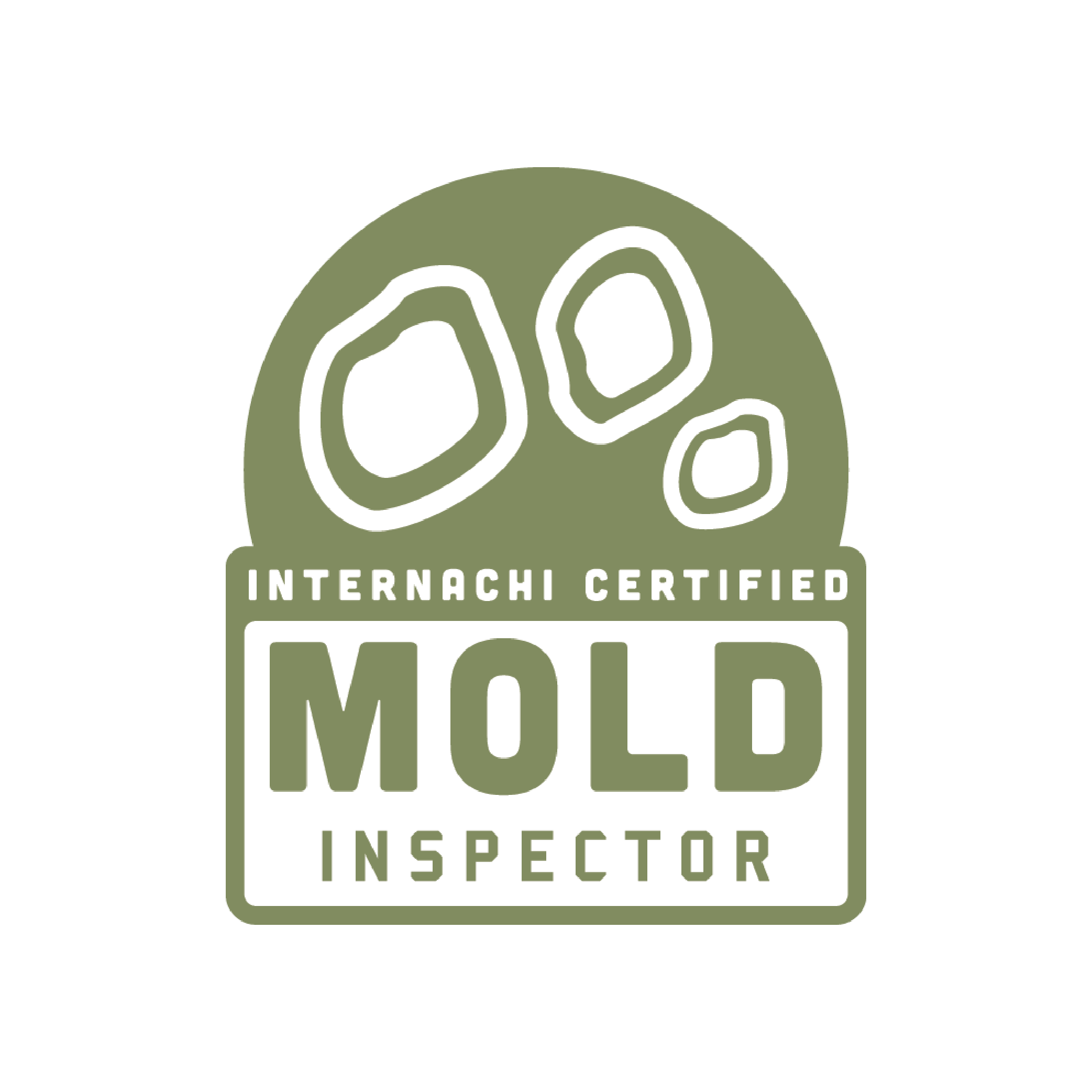 Mold Inspector