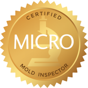 MICRO Mold