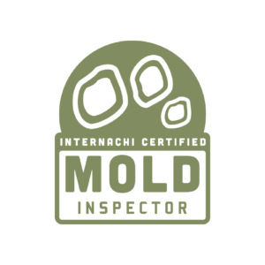 mold-02
